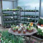 nursery