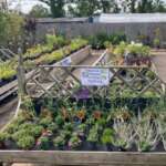 Nursery outside6